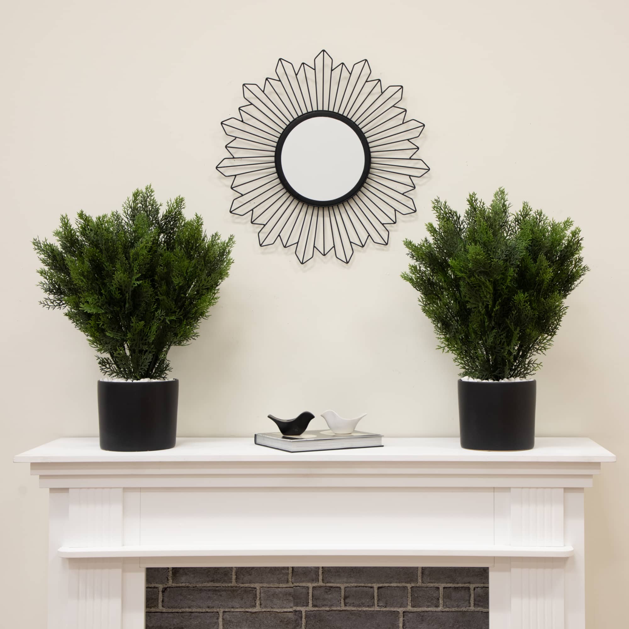 2ft. Potted UV Resistant Cedar Bushes, 2ct.